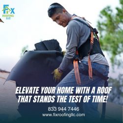 roof washing tampa FL roof washing tampa FL