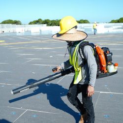tampa roof cleaning tampa roof cleaning